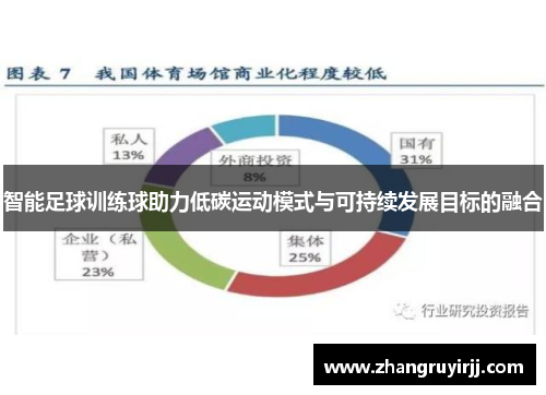 智能足球训练球助力低碳运动模式与可持续发展目标的融合