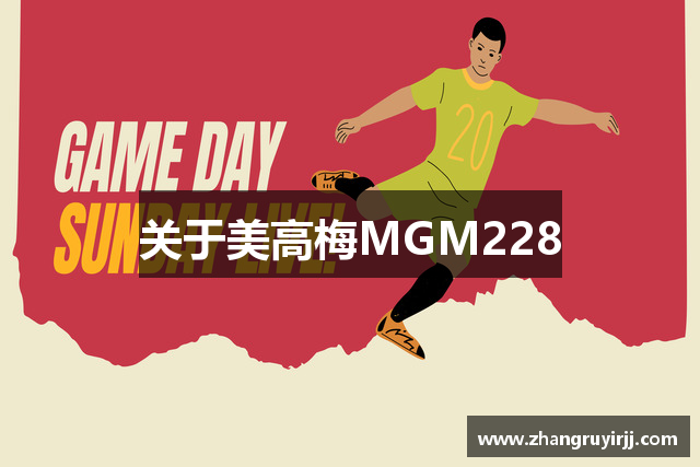 关于美高梅MGM228